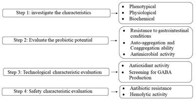 Evaluation of the probiotic, technological, safety attributes, and GABA-producing capacity of microorganisms isolated from Iranian milk kefir beverages